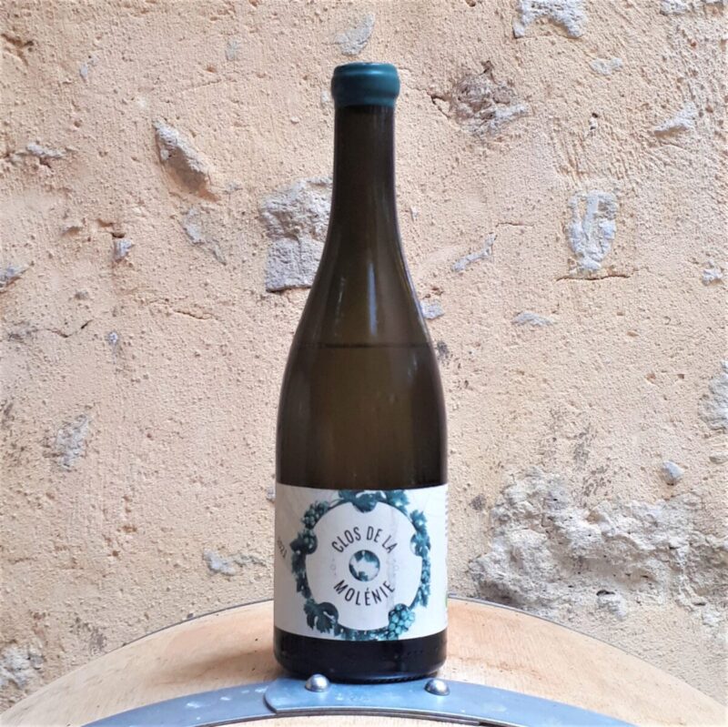 Bordeaux blanc, Clos de la Molénie, vin biodynamique en acacia, chêne, terre cuite et grès